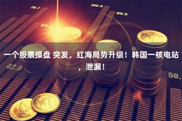 一个股票操盘 突发，红海局势升级！韩国一核电站，泄漏！