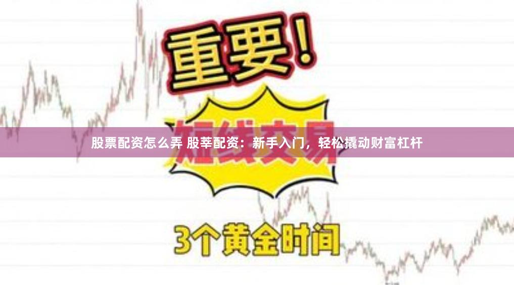 股票配资怎么弄 股莘配资：新手入门，轻松撬动财富杠杆